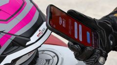 Gallery - immagine 2#