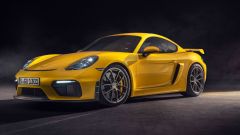 Gallery - immagine 3#