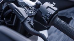 Gallery - immagine 7#