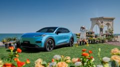 Gallery - immagine #13