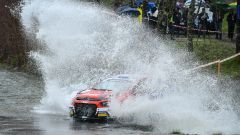 Rally Il Ciocco 2026: cronaca, aggiornamenti e risultati