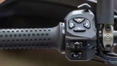 Gallery - immagine #14