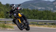 Gallery - immagine 7#