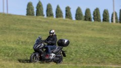 Gallery - immagine 5#