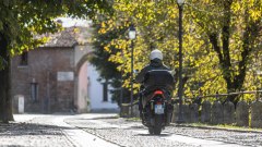 Gallery - immagine 10#