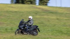 Gallery - immagine 4#