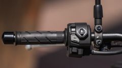 Gallery - immagine #15