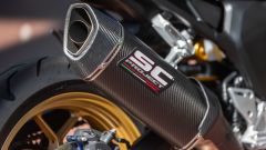 Gallery - immagine #12