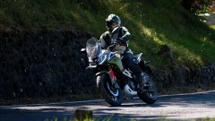 Gallery - immagine 3#