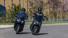 Gallery - immagine 9#