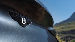 Gallery - immagine 10#