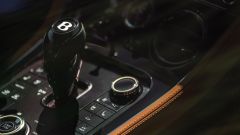 Gallery - immagine #12