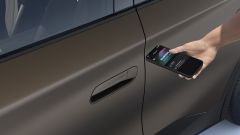 Gallery - immagine 5#