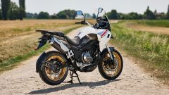 Gallery - immagine 2#