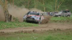 Gallery - immagine 2#