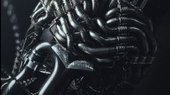 Gallery - immagine 3#