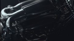 Gallery - immagine 5#