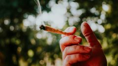 Gallery - immagine 2#