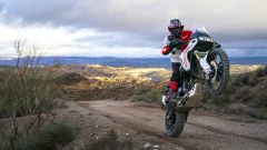 Gallery - immagine 2#