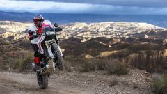 Gallery - immagine 5#