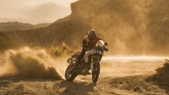 Gallery - immagine 11#