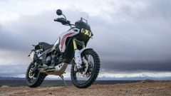 Gallery - immagine #12