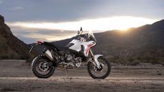 Gallery - immagine #13