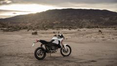 Gallery - immagine #14