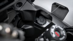 Gallery - immagine #29