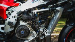 Gallery - immagine 6#