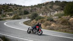 Gallery - immagine 2#