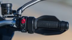 Gallery - immagine #12