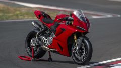 Gallery - immagine 3#