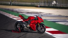 Gallery - immagine 2#
