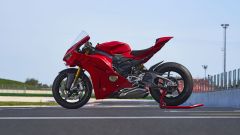 Gallery - immagine 2#