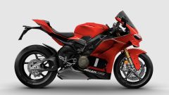 Gallery - immagine 3#