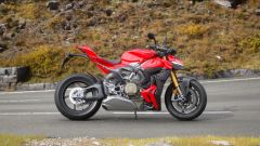 Gallery - immagine 2#