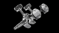 Gallery - immagine 3#