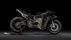 Gallery - immagine 8#