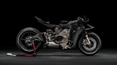 Gallery - immagine 9#