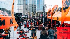 Gallery - immagine 2#