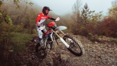 Gallery - immagine 4#