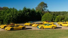 Gallery - immagine 5#