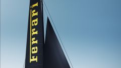 Gallery - immagine 5#