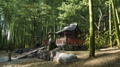 Gallery - immagine 8#