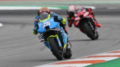 Gallery - immagine 6#