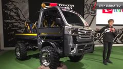 Gallery - immagine 2#