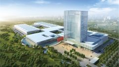 Gallery - immagine 4#