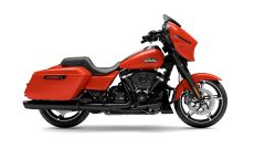 Gallery - immagine 8#