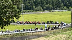 Gallery - immagine 2#